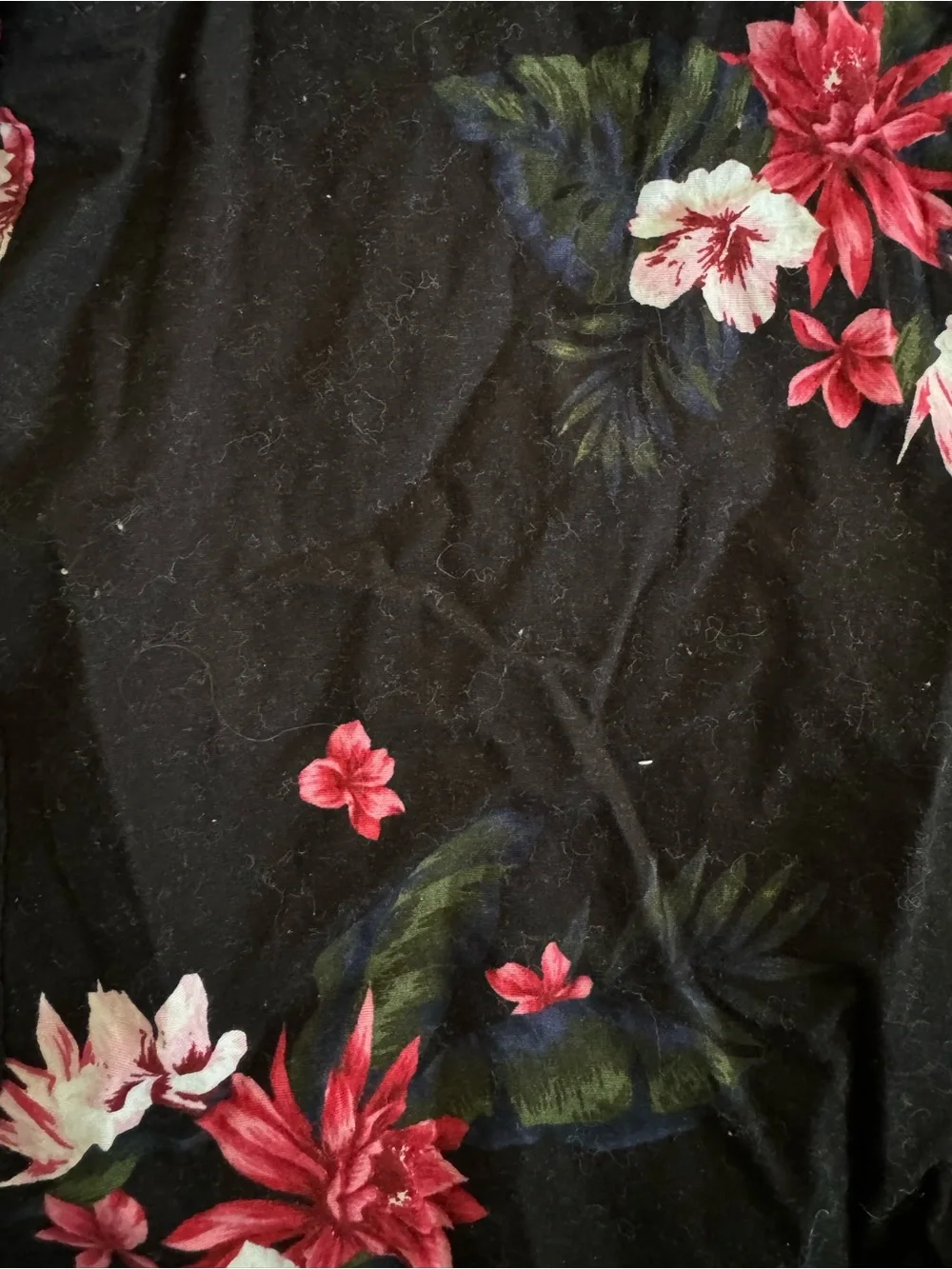 Hollister Men’s large Black Floral Short-Sleeve cotton Button-Up Shirt